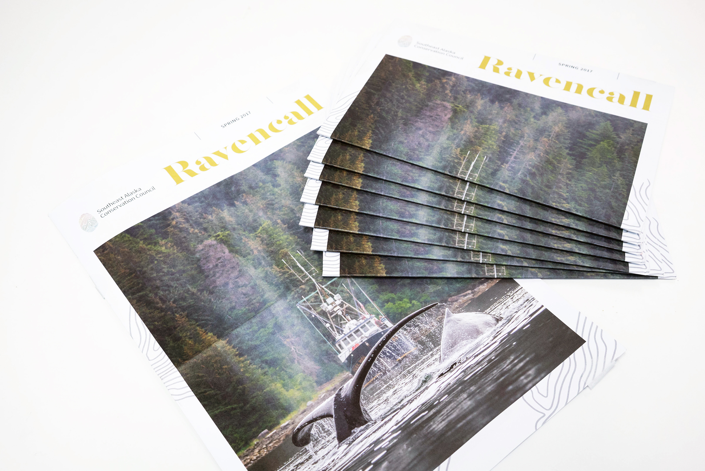 Brochure (1 of 6)